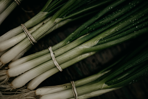 Close up, up view photo of fresh scallions on a wooden bench, just harvested and washed. Looking powerful and fresh