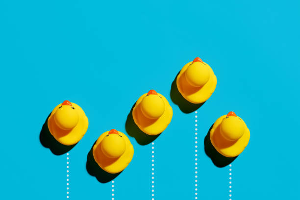 istock Rubber ducks racing in a competition. Business competition, struggle, achievement, speed or success 1381974543