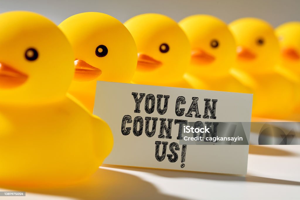 Client trust and assurance in business Client trust and assurance in business concept. Rubber ducks in a row carry a signboard with the message you can count on us. Duck - Bird Stock Photo