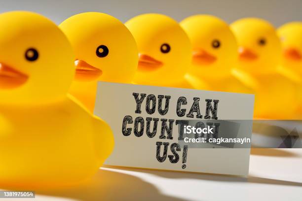 Client Trust And Assurance In Business Stock Photo - Download Image Now - Duck - Bird, In A Row, Achievement