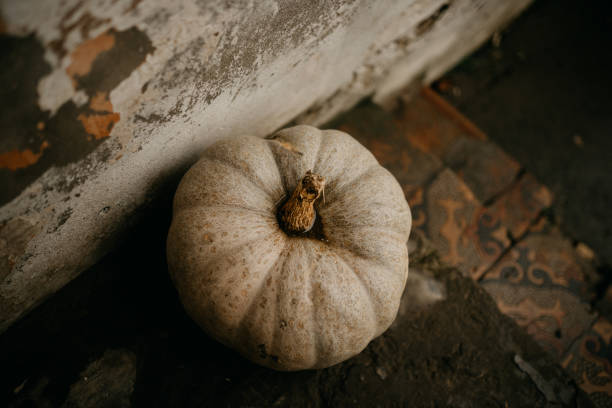 Spontaneous top view photo of an organic, green pumpkin, placed next to the rustic old wall. It has discoloration and scratches, washed and dried, ready for home decoration