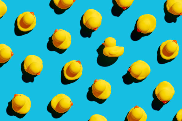 istock Rubber duck stand out from the crowd. Diversity, individuality, difference, minority or independence in business 1381980299