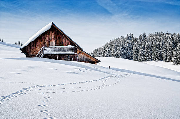 istock Winter in the Alps 138199350