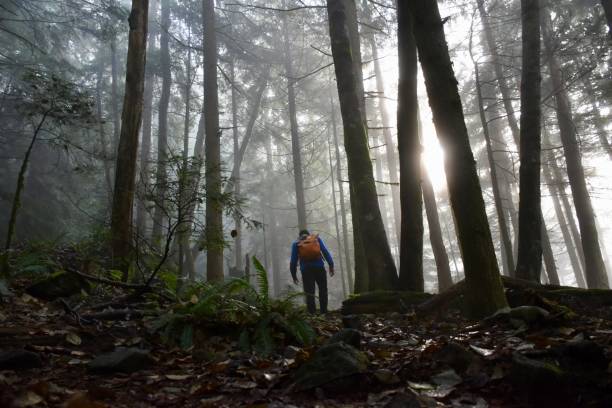 istock Hiking in North Vancouver 1382025084