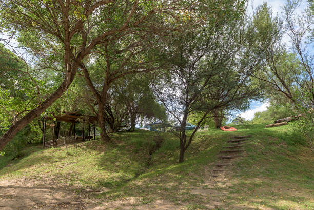 istock Camping site next to Modder River at River of Joy 1382029437