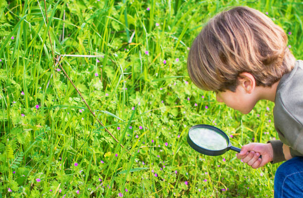istock Cute Child Playing In Nature And Discovering Flowers. 1382047030