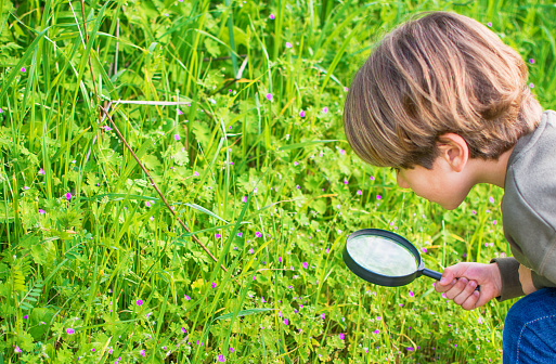 Curious Little Boy Looking At The Grass Through A Magnifying Glass. Cute Child Playing In Nature And Discovering Flowers.