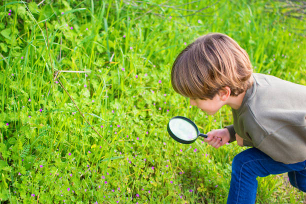 istock Cute Child Playing In Nature And Discovering Flowers. 1382047553