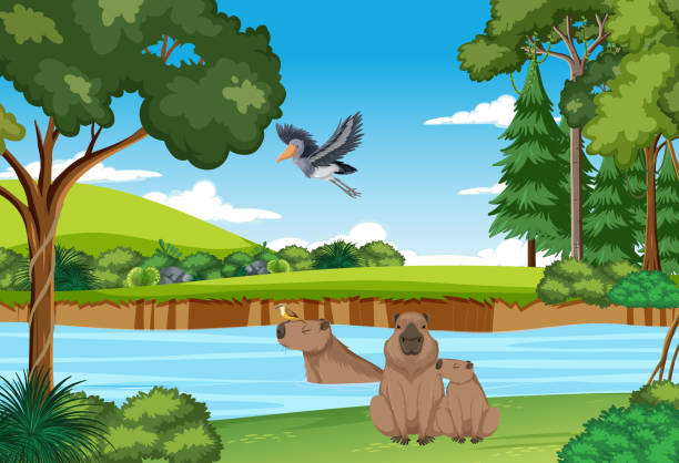 Scene with wild animals in the forest Scene with wild animals in the forest illustration wombat stock illustrations