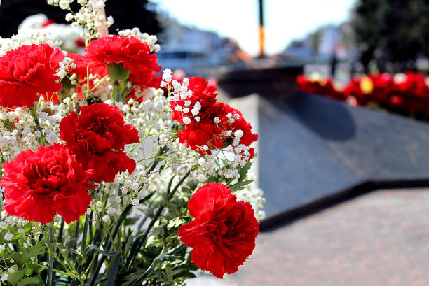 red carnations on the background of eternal fire in honor of the day of victory - chama eterna imagens e fotografias de stock