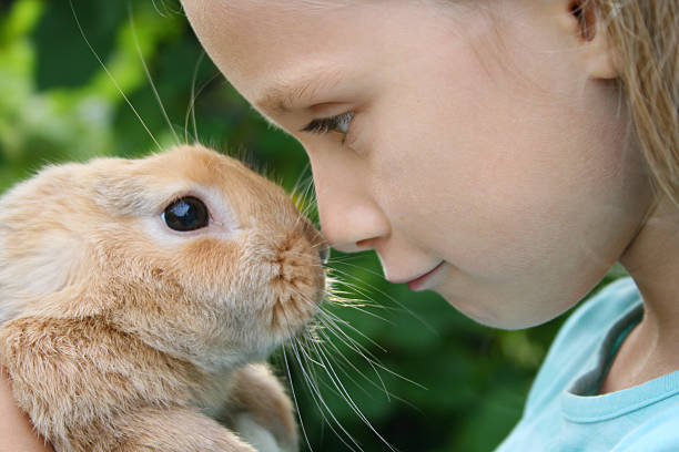 istock A little girl making friends with a rabbit 138205571
