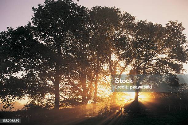 Sunrise Stock Photo - Download Image Now - Autumn, Horizontal, Landscape - Scenery
