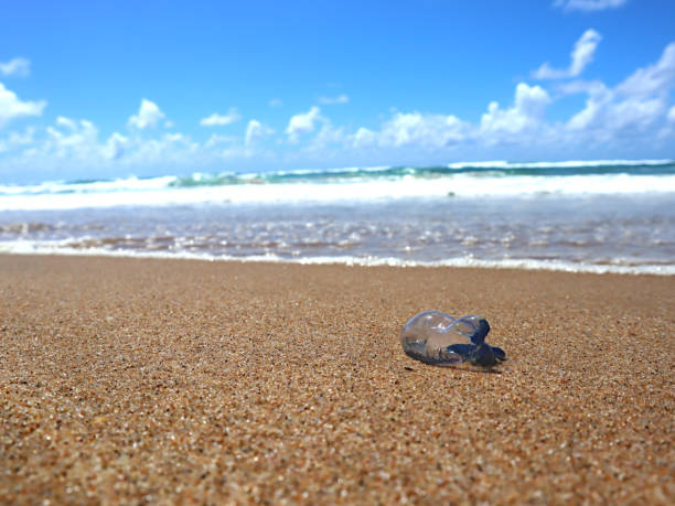 istock Sea water, ocean view with blue sky 1382080277