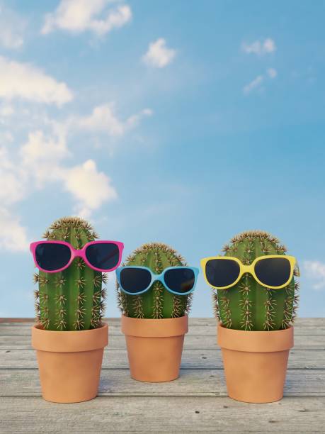 istock three cacti with sunglasses 3D-illustration 1382080810
