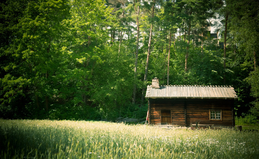 Norwegian Wooden House in the Forest, Location: Oslo, Norway. 