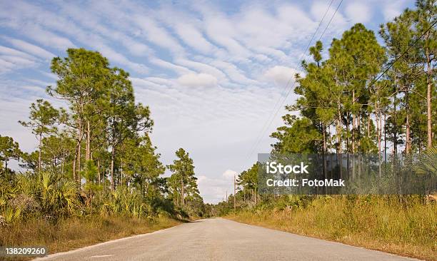 Strada Di Campagna In Florida Everglades National Park - Fotografie stock e altre immagini di Albero