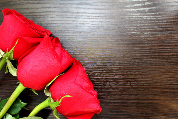 Three rose flowers lie on a wooden background with space for text.