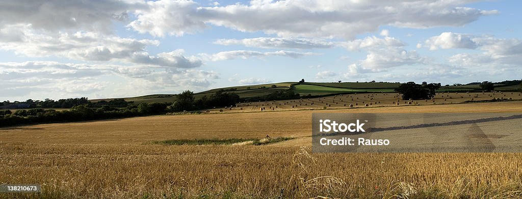 Vista panorâmica de um campo inglês straw - Royalty-free Agricultura Foto de stock