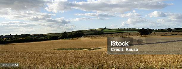 Vista Panorâmica De Um Campo Inglês Straw - Fotografias de stock e mais imagens de Agricultura - Agricultura, Alimentação Saudável, Ao Ar Livre