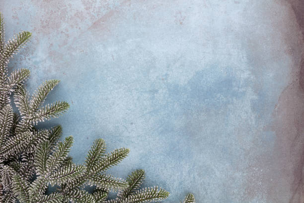 istock Christmas composition fir tree branches, gold sterne on blue background. 1382115285