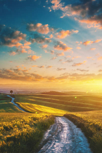 istock Sunset in Tuscany, Italy 1382128771