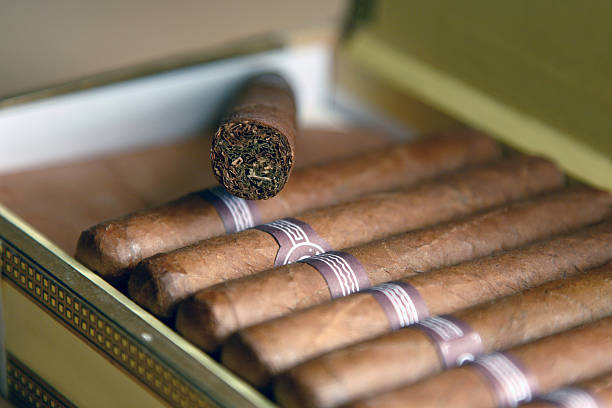 Cuban Cigars stock photo