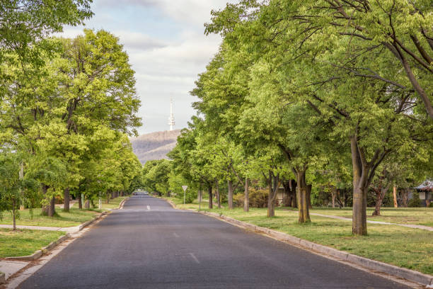 Beautiful street view at a bush capital. Beautiful street view at a bush capital, Canberra, Australia. canberra stock pictures, royalty-free photos & images