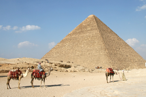 Two Egyptians lead three camels past the Great Pyramid at Giza.
