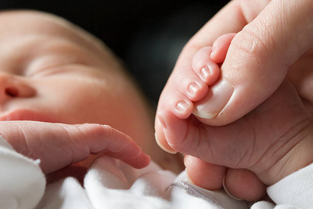 istock Newborn Baby Series 138214485
