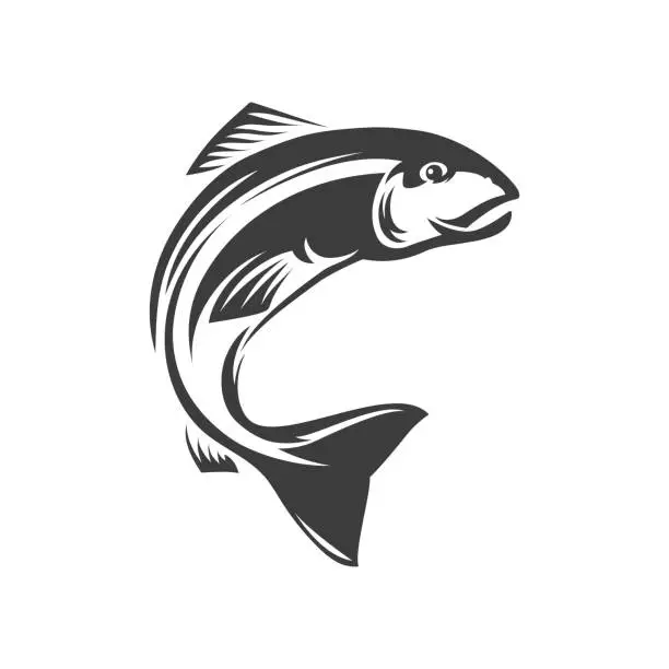 Vector illustration of Salmon freshwater fish, seafood, marine food icon