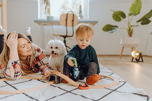 little boy and his mother playing with toys and their dog together at home