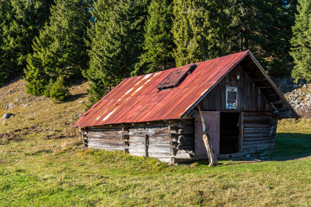 istock Wooden hut on meadow with trees on the background 1382171904