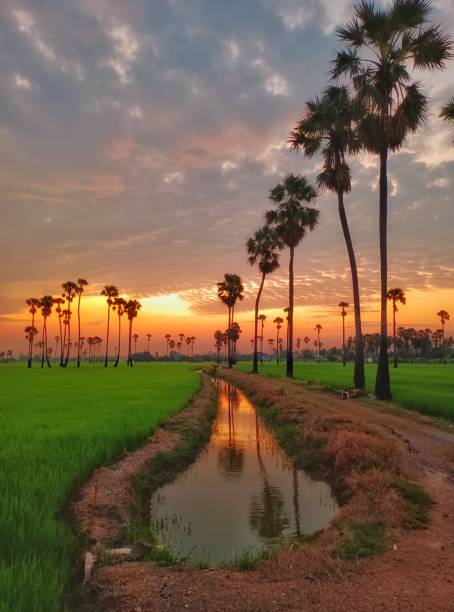 istock Beautiful sunrise scene 1382174545