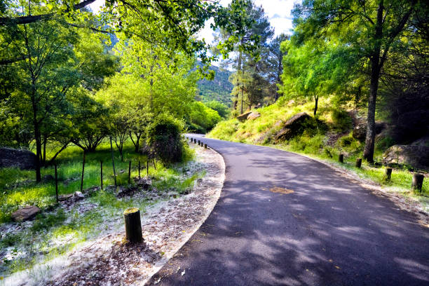 istock Road in the Iruelas Valley. Avila. 1382187530