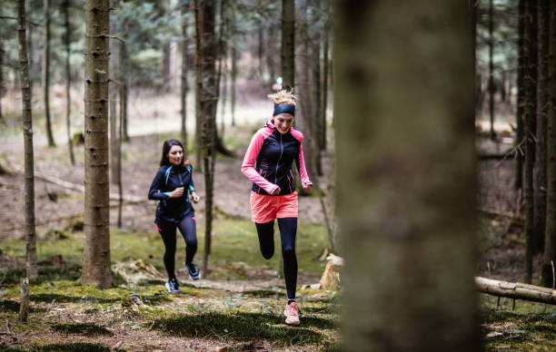 istock Two friends exercising in the forest 1382187941