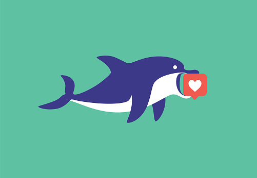 dolphin holding like icon