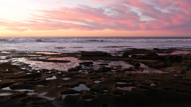 istock Eroded tide pool rock formation in California. Sunset sky reflection in water. 1382196681