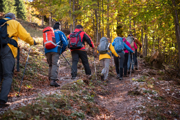 istock Friends walking with hiking poles on mountain 1382216742