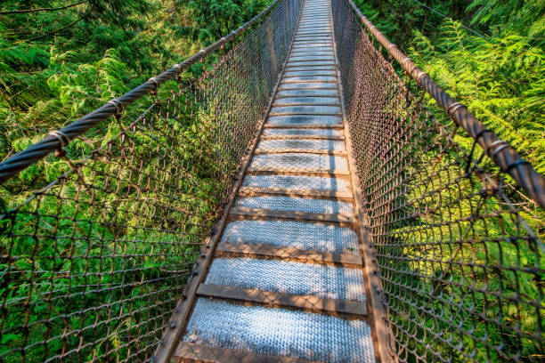 istock Beautiful Capilano Cliff Walk Suspension Bridge in Vancouver, Canada 1382220039