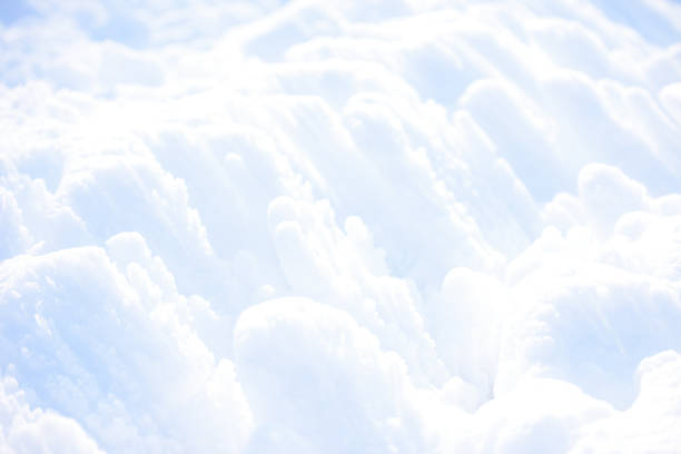 Pretty white snow that fell in winter.
