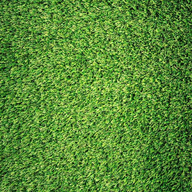 istock Background image of green grass top view 1382233585