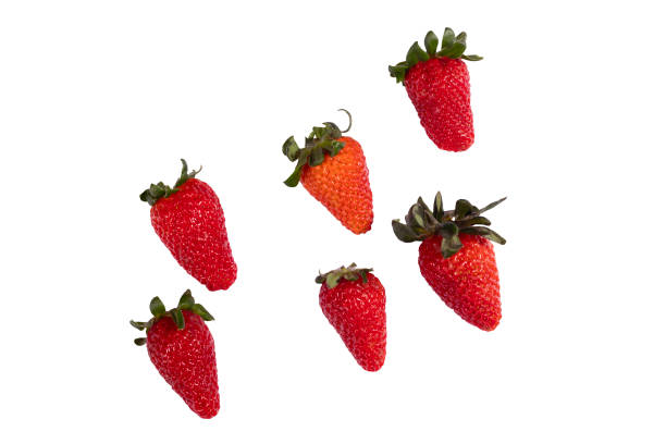 istock Strawberry - Several red strawberries isolated on the white background. 1382255724