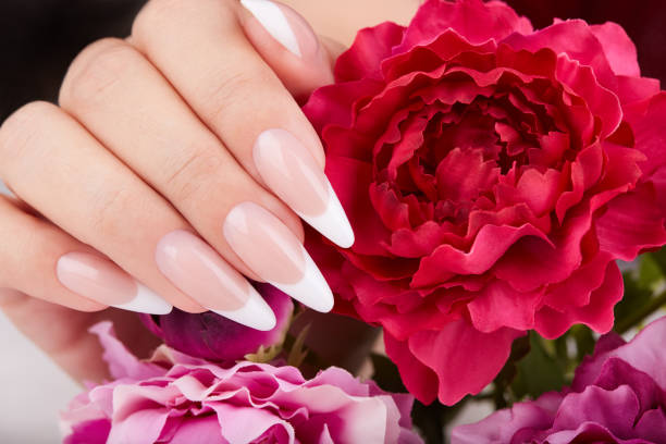 istock Hand with long artificial French manicured nails red Aster flower 1382257369