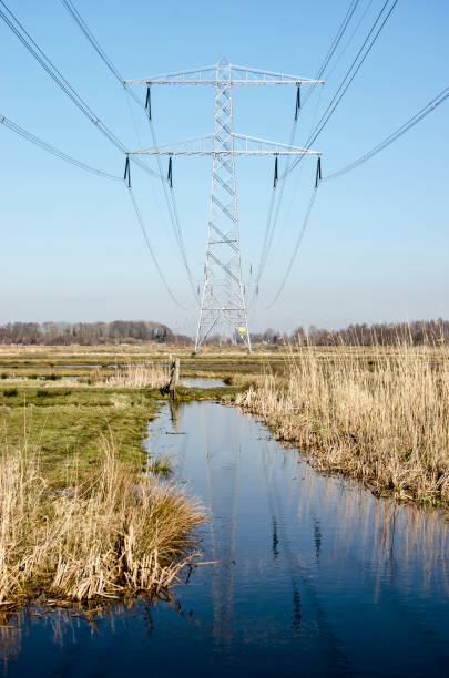 istock Electricity pylons in a Dutch polder 1382261694