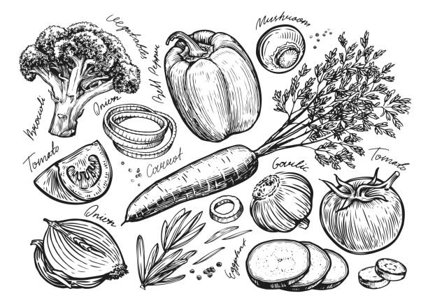 野菜セットスケッチ。農場有機食品手描きヴィンテージベクターイラスト - edible mushroom food fungus isolated点のイラスト素材／クリップアート素材／マンガ素材／アイコン素材