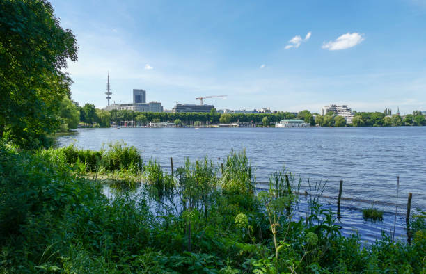 lago alster esterno nei dintorni di amburgo - riparian forest foto e immagini stock