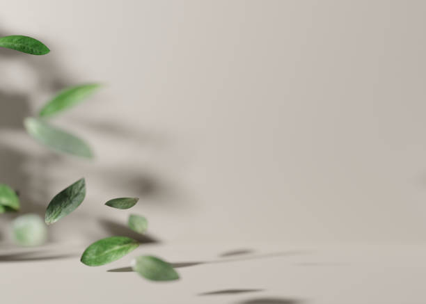 istock Empty scene with leaves, flying in the air on light brown background. Template for product, cosmetic presentation. Natural mock up. Free, copy space. 3D rendering. 1382268719