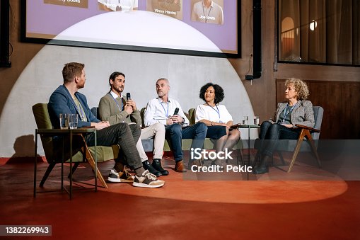 istock Group of diverse business people on panel discussion 1382269943