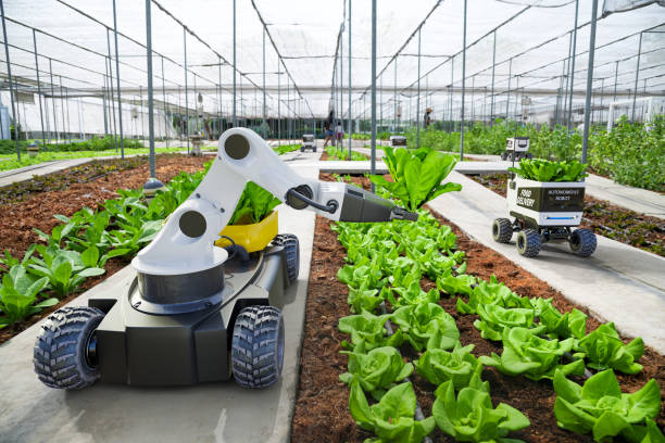 agricultura robótica y coche autónomo trabajando en granja inteligente, tecnología 5g del futuro con concepto de agricultura inteligente - greenhouse fotografías e imágenes de stock