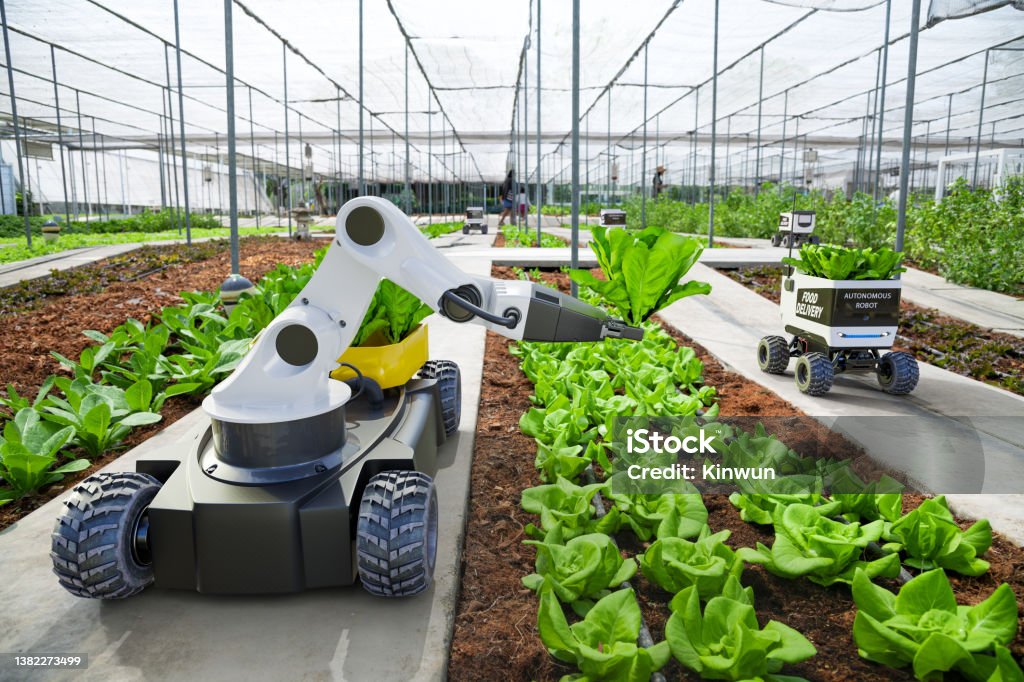 Agriculture robotic and autonomous car working in smart farm, Future 5G technology with smart agriculture farming concept Robot Stock Photo